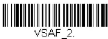 VSAF_2.