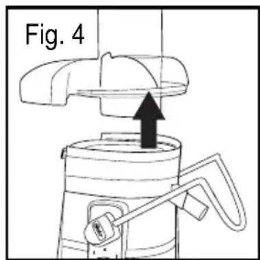 Fig. 4