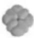 CUISINART CCP-10 - HELPFUL HINTS - 16