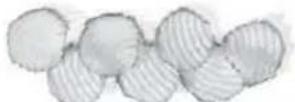 CUISINART PrepExpress SSL-100 - APPLE TARTLETS - 2