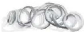 CUISINART PrepExpress SSL-100 - Results: - 4