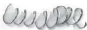 CUISINART PrepExpress SSL-100 - Results: - 1