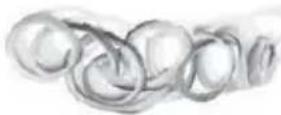 CUISINART PrepExpress SSL-100 - APPLE TARTLETS - 5
