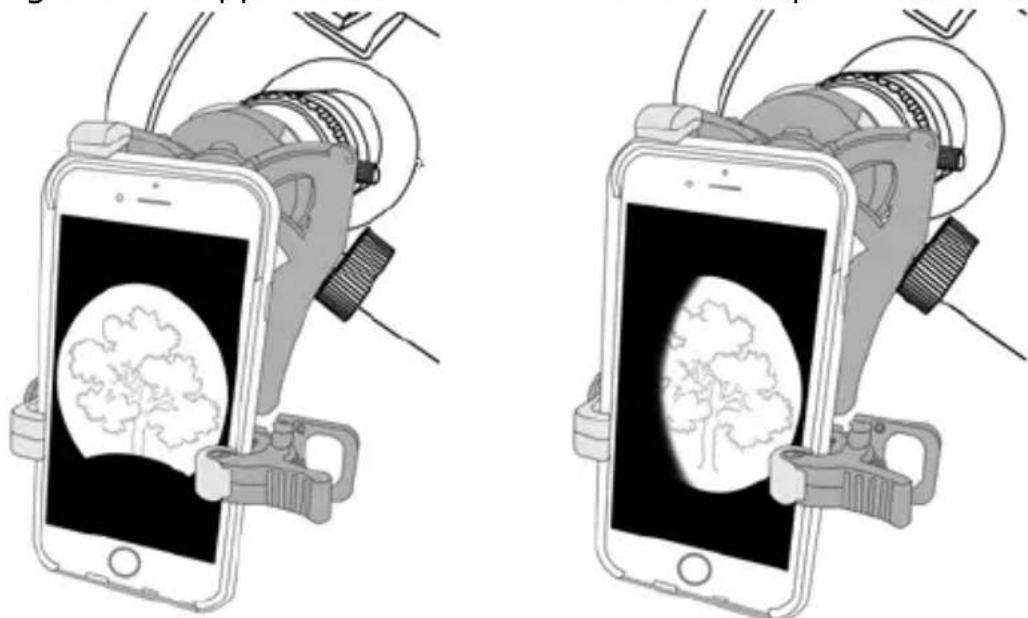 Carson RedPlanet RP-300SP - SMARTPHONE SIZING GUIDE - 1