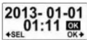 COBRA WASPcam 9902 - Date and Time - 4
