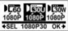 COBRA WASPcam 9902 - Video Resolution - 3