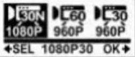 COBRA WASPcam 9902 - Video Resolution - 5