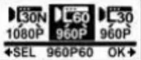 COBRA WASPcam 9902 - Video Resolution - 6