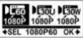 COBRA WASPcam 9902 - Video Resolution - 2