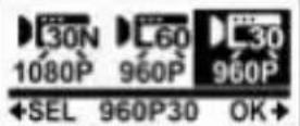 COBRA WASPcam 9902 - Video Resolution - 7