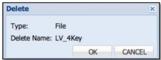 Delete Type: File Delete Name: LV_4Key OK CANCEL