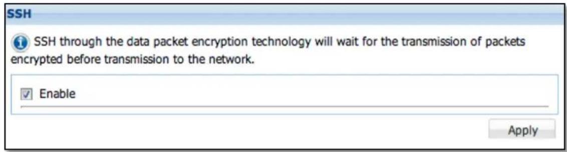 SSH SSH through the data packet encryption technology will wait for the transmission of packets encrypted before transmission to the network. Enable Apply