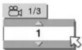 ROTEL RDV-1040 - Selecting a Scene Angle (ANGLE) - 2