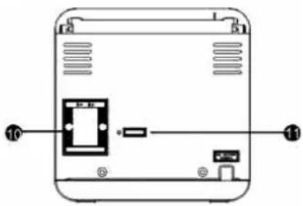 Diagram of a device rear panel with labeled ports and internal components