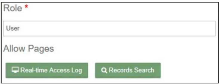 Role * User Allow Pages Real-time Access Log Records Search