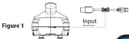 Figure 1 Input
