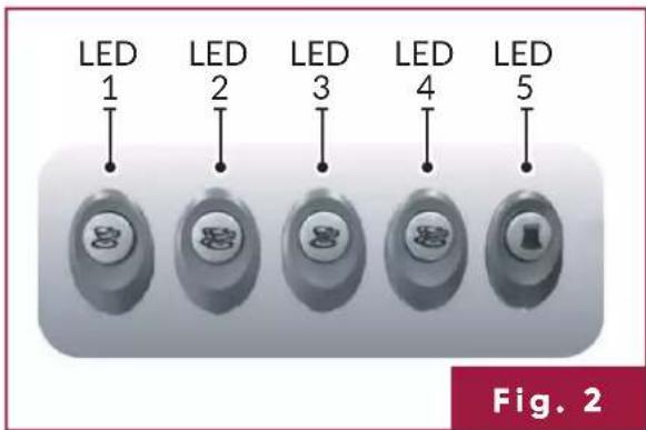 LED 1 LED 2 LED 3 LED 4 LED 5 Fig. 2