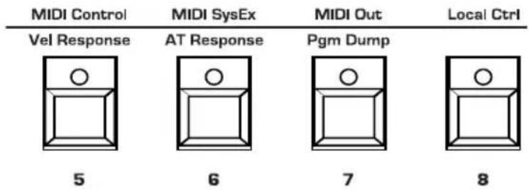 MIDI Control Vel Response MIDI SysEx AT Response MIDI Out Pgm Dump Local Ctrl 5 6 7 8