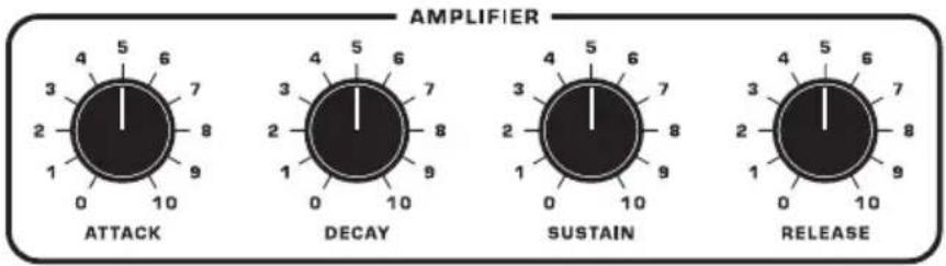 AMPLIFIER ATTACK DECAY SUSTAIN RELEASE