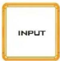INPUT