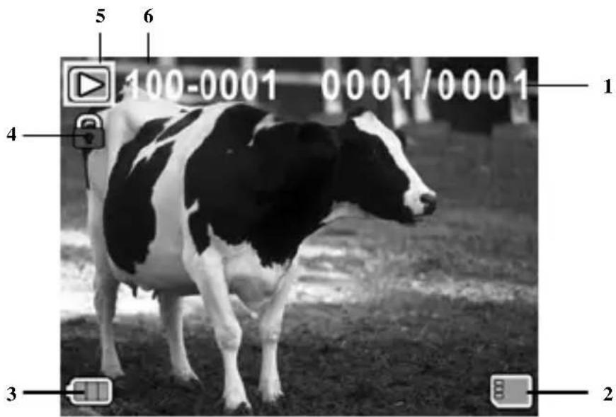 100-0001 0001/0001 1 2 3 4 5 6
