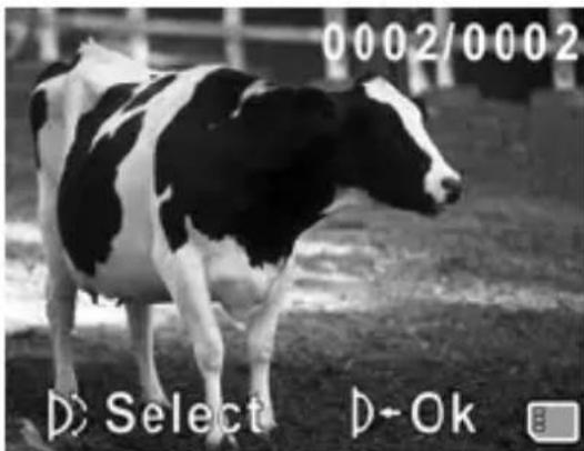 0002/0002 D: Select D-Ok