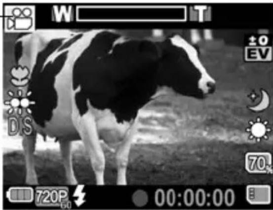 Black and white cow standing in a grassy field, captured in a camera interface (no readable text or symbols on the cow itself)