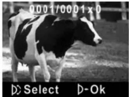 0001/0001x0 D Select D-Ok
