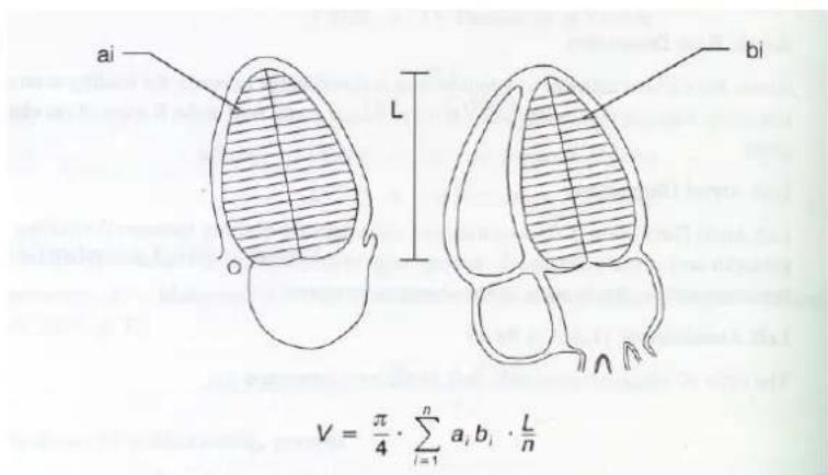 ai L bi V = π/4 · ∑i=1^n a_i b_i · L/n