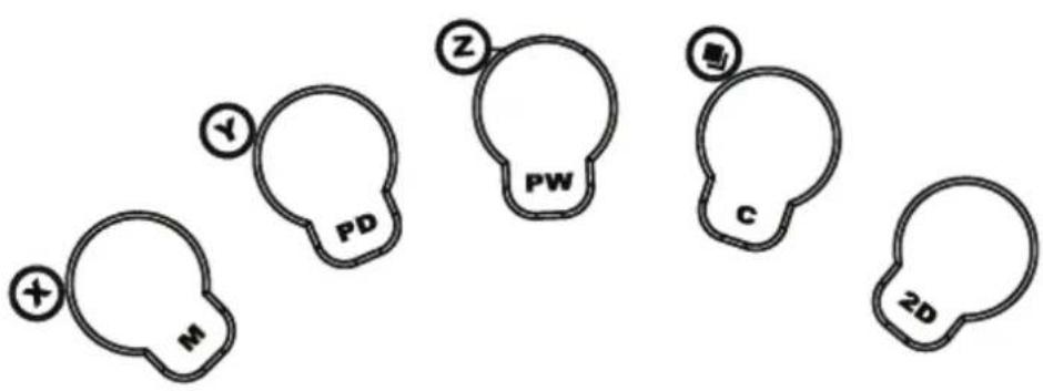Y PD Z PW C 2D M