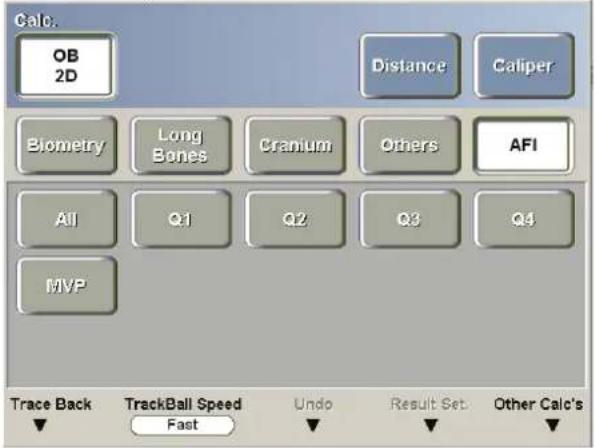 Calc. OB 2D Distance Caliper Biometry Long Bones Cranium Others AFI All Q1 Q2 Q3 Q4 MVP Trace Back TrackBall Speed Fast Undo Result Set Other Calc's