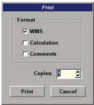 Print Format WMS Calculation Comments Copies: 1 Print Cancel