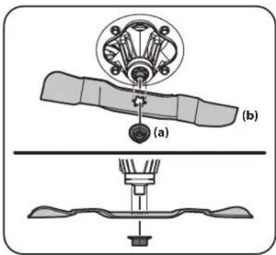 (a) (b)