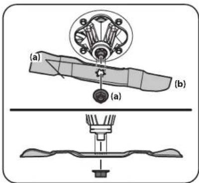 (a) (b) (a)
