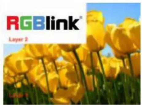 RGBlink® Layer 2 Layer 3