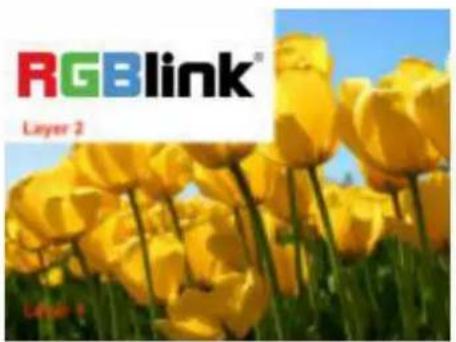 RGBlink® Layer 2