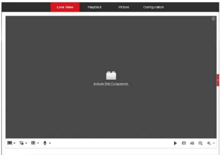 Live View Playback Picture Configuration Active Web Components
