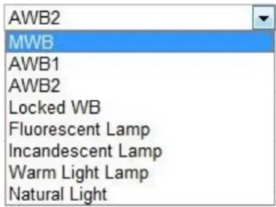 AWB2 MWB AWB1 AWB2 Locked WB Fluorescent Lamp Incandescent Lamp Warm Light Lamp Natural Light