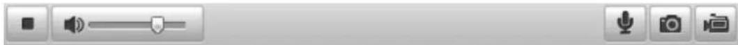 Screenshot of a media player control bar with playback, audio, and video icons