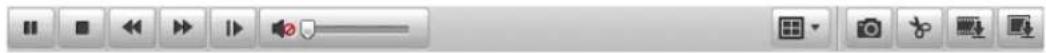 Screenshot of a media player control bar with playback, audio, and video icons