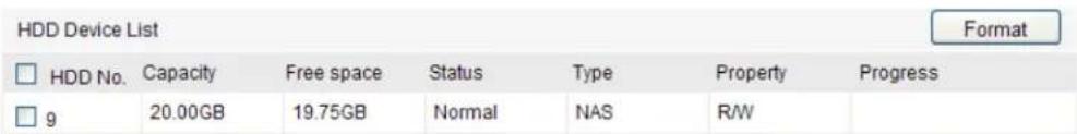 HDD Device List Format □ HDD No. Capacity Free space Status Type Property Progress □ 9 20.00GB 19.75GB Normal NAS R/W