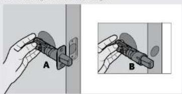 A B