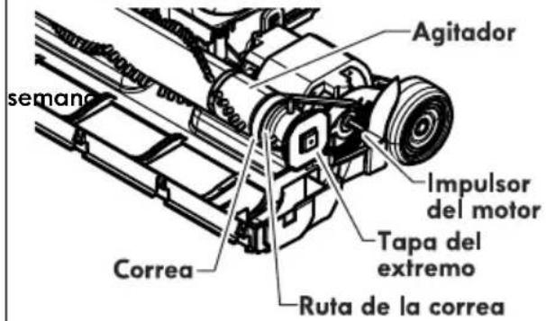 sema Agitador Impulsor del motor Tapa del extremo Ruta de la correa Correa