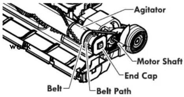 Agitator Motor Shaft End Cap Belt Belt Path week