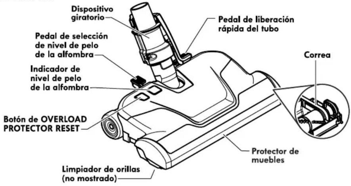 Dispositivo giratorio Pedal de selección de nivel de pelo de la alfombra Indicador de nivel de pelo de la alfombra Botón de OVERLOAD PROTECTOR RESET Limpiador de orillas (no mostrado) Pedal de liberación rápida del tubo Correa Protector de muebles