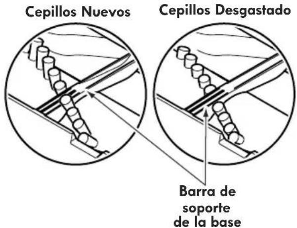 Cepillos Nuevos Cepillos Desgastado Barra de soporte de la base