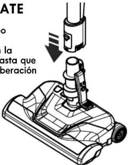 ATE o la asta que beración