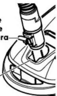 ra