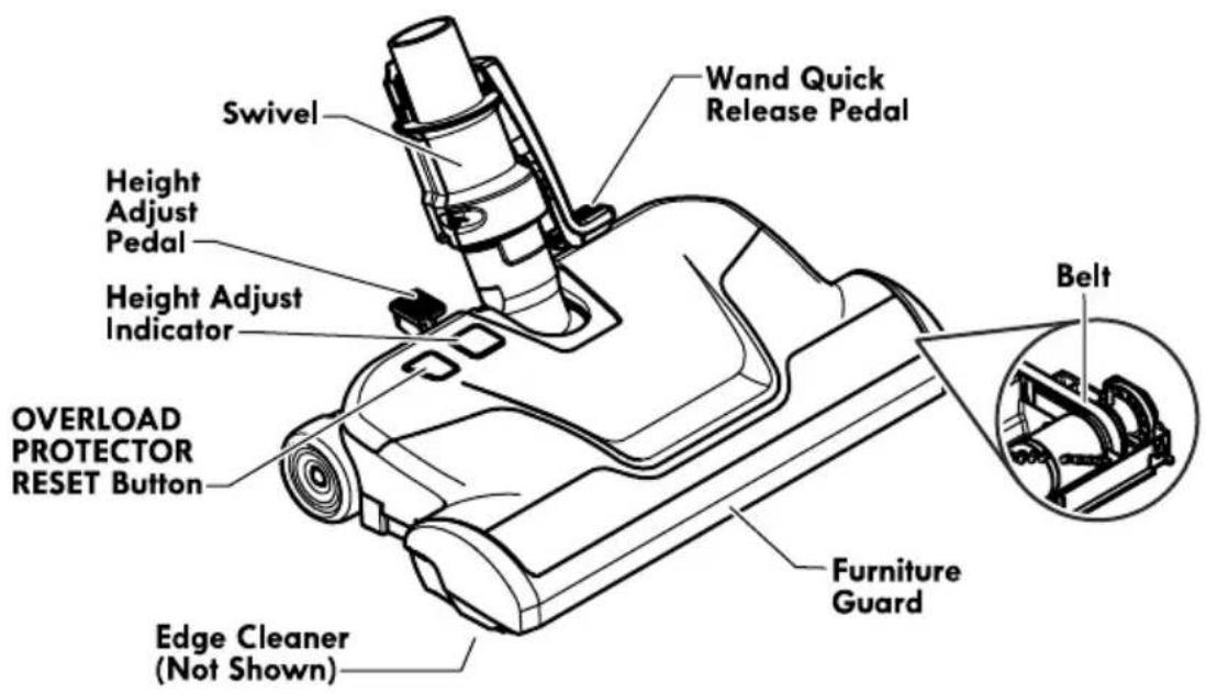 Swivel Height Adjust Pedal Height Adjust Indicator OVERLOAD PROTECTOR RESET Button Edge Cleaner (Not Shown) Wand Quick Release Pedal Belt Furniture Guard
