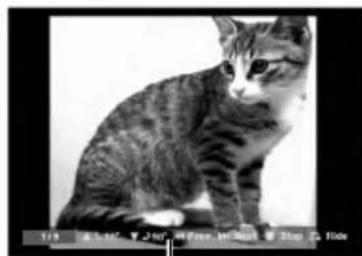 LG LDX-514 - Viewing a JPEG Files - 2